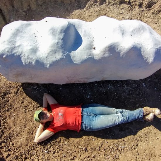 student laying on the ground next to very large fossil