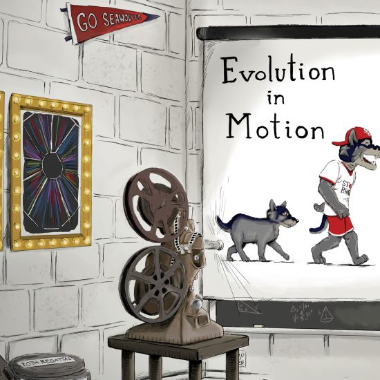 wolfie evolution illustration